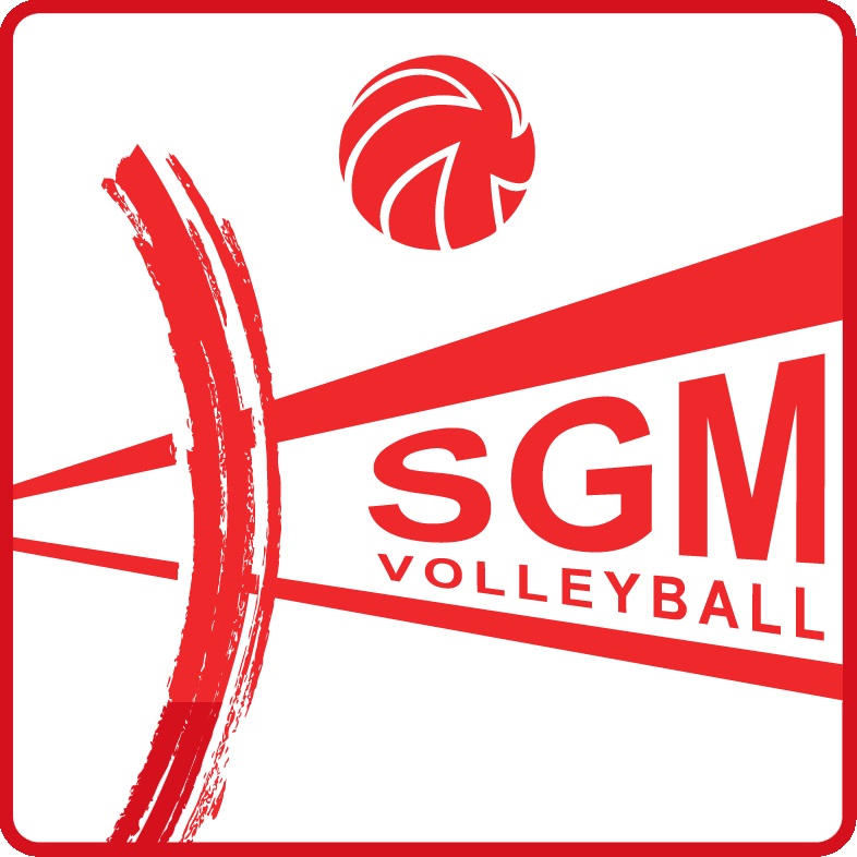 Logo Volleyball